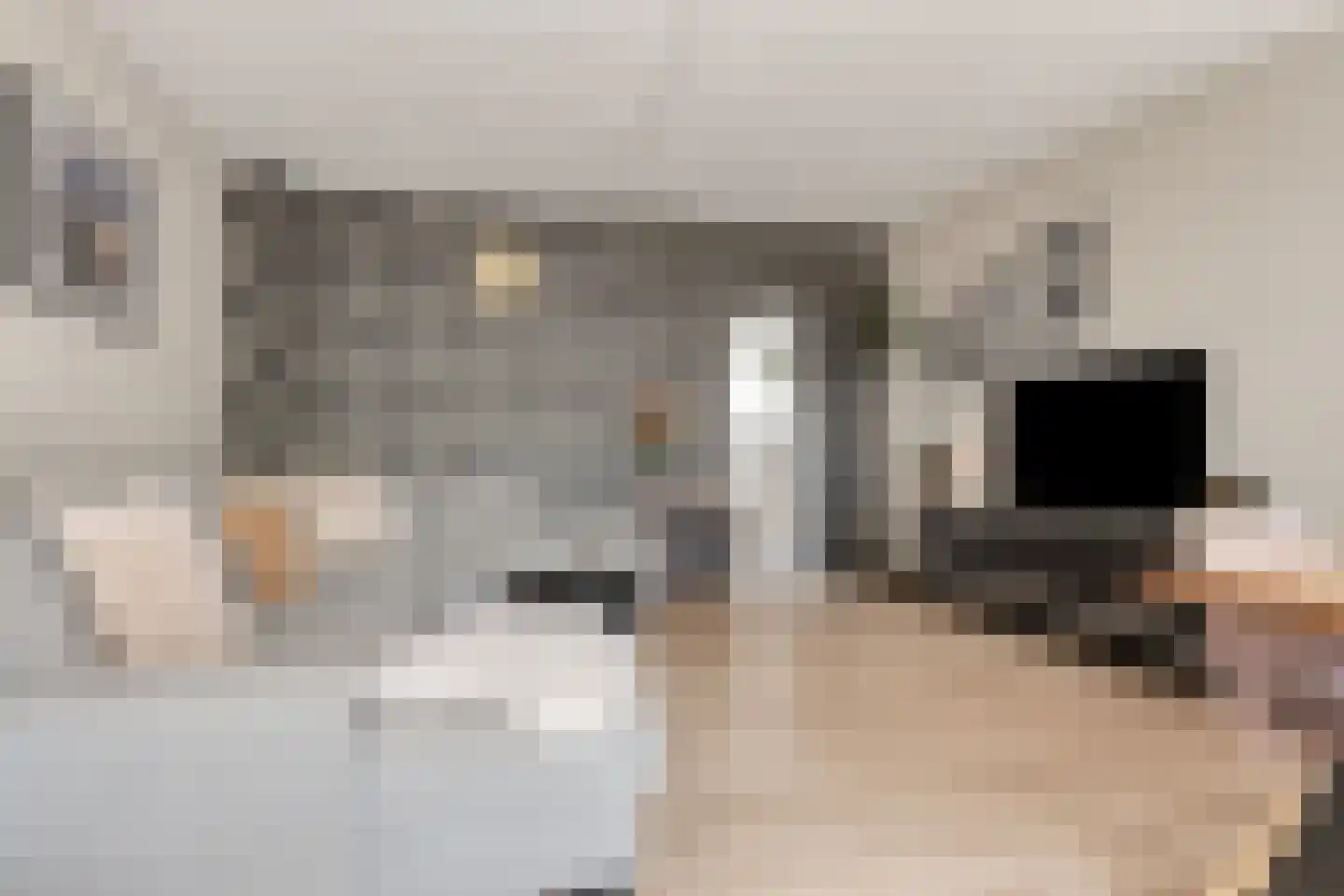 Haagbeemd 14 Eindhoven thumbnail 12