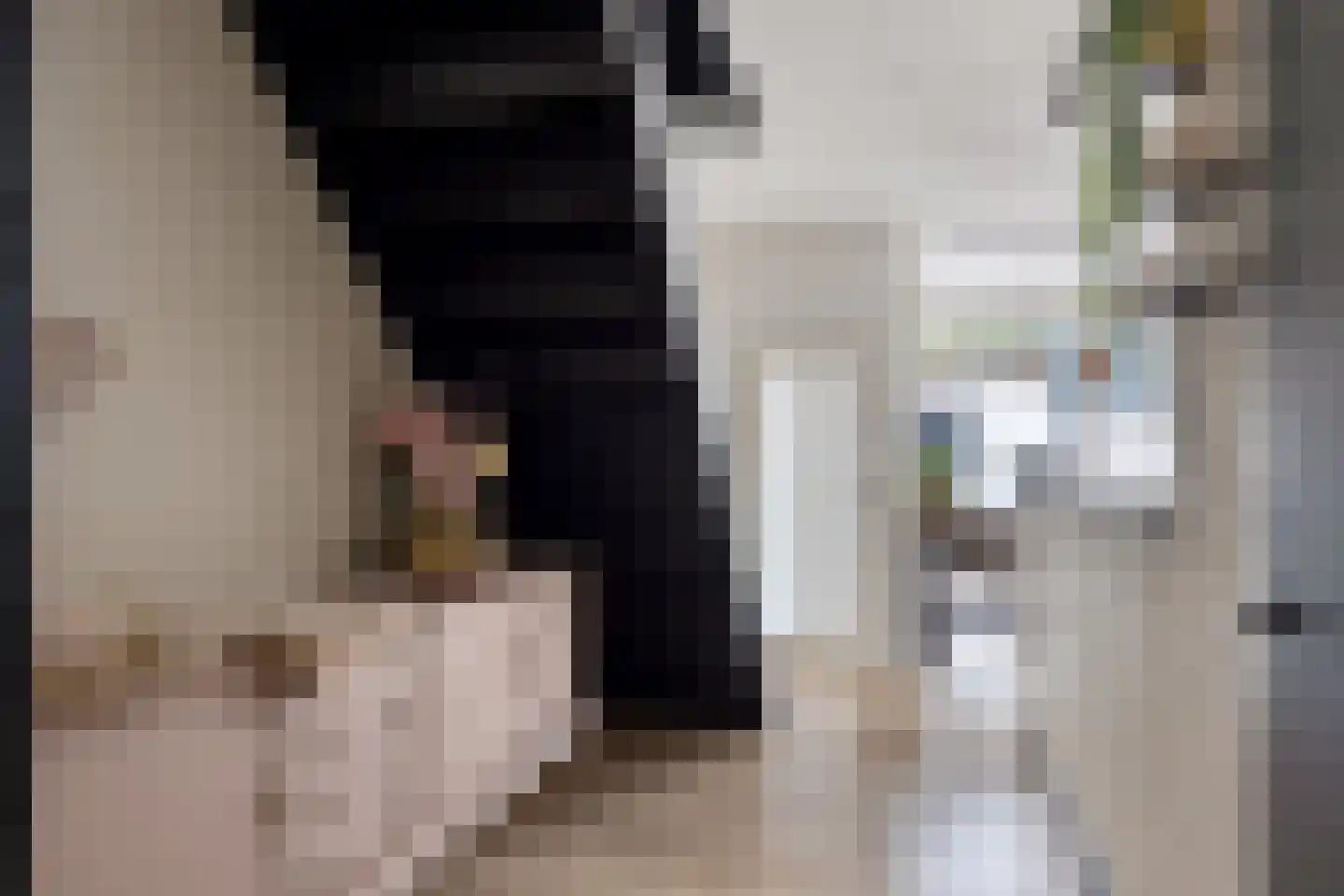 Haagbeemd 14 Eindhoven thumbnail 14