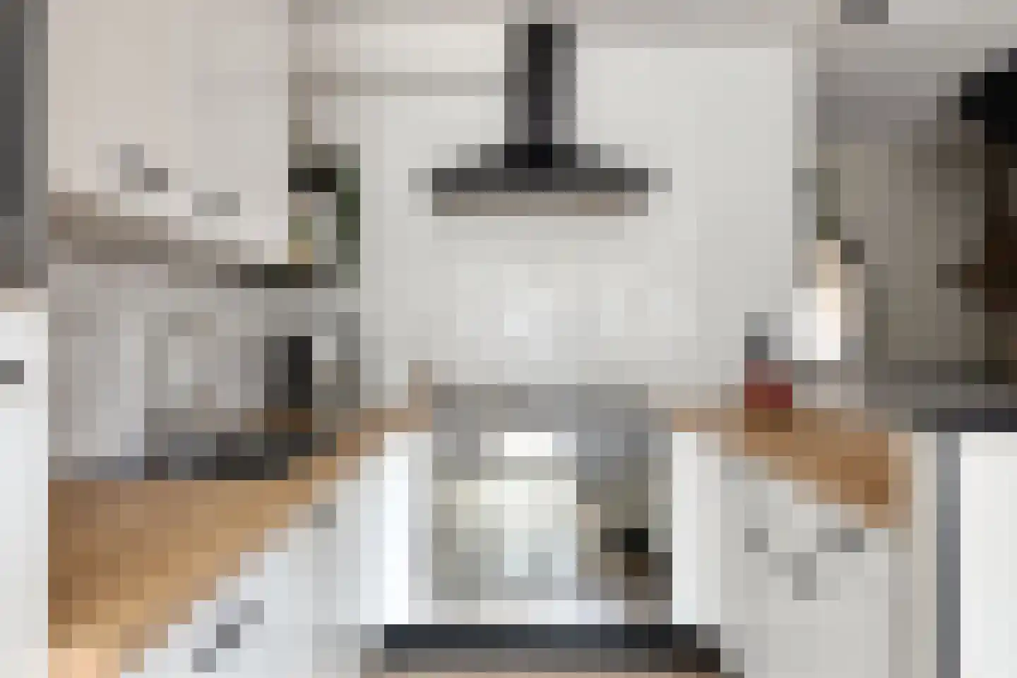Haagbeemd 14 Eindhoven thumbnail 17