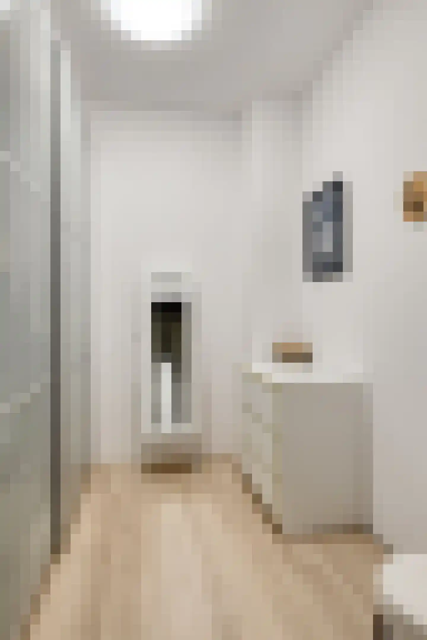 Haagbeemd 14 Eindhoven thumbnail 21