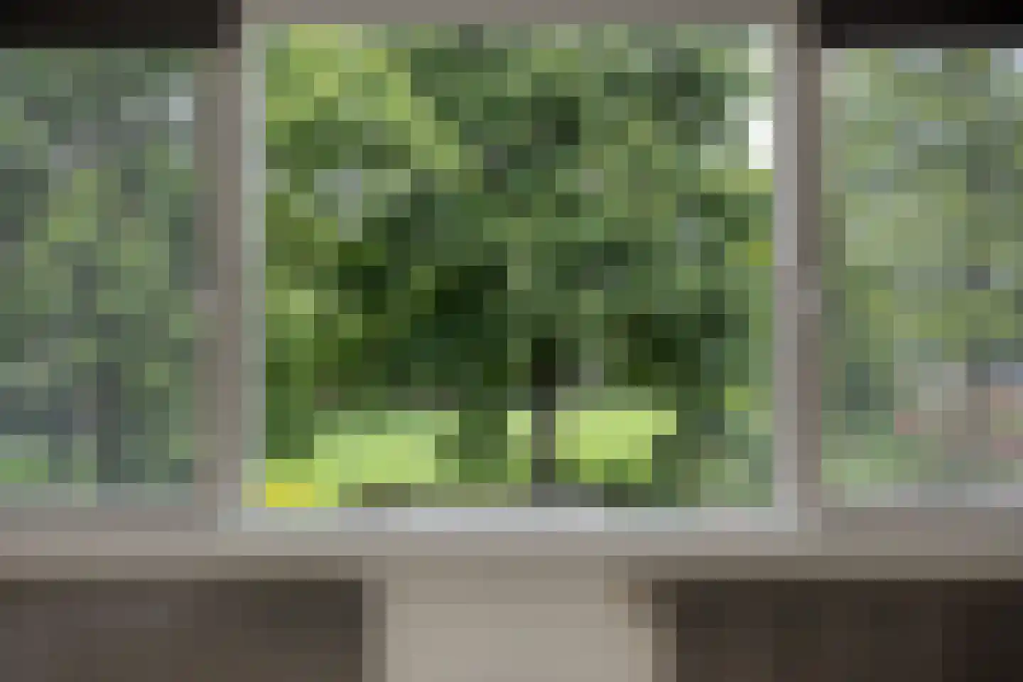 Haagbeemd 14 Eindhoven thumbnail 24
