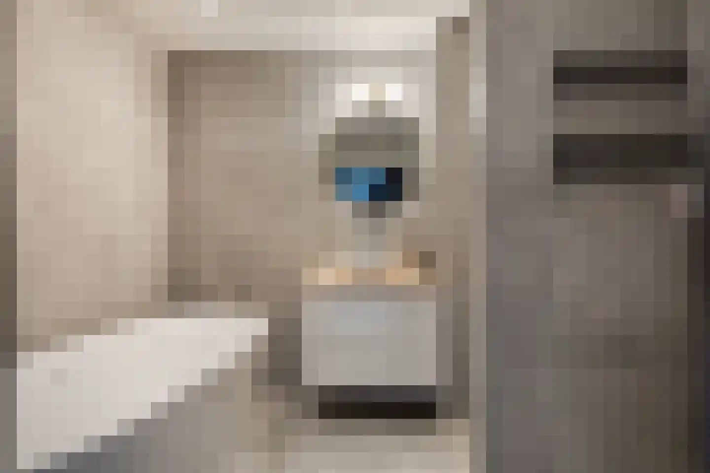 Haagbeemd 14 Eindhoven thumbnail 25