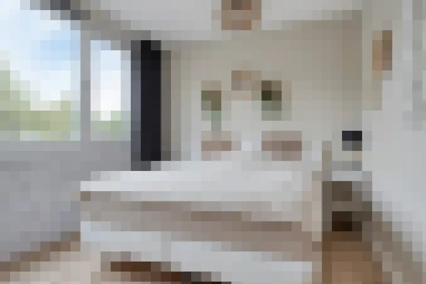 Haagbeemd 14 Eindhoven thumbnail 29