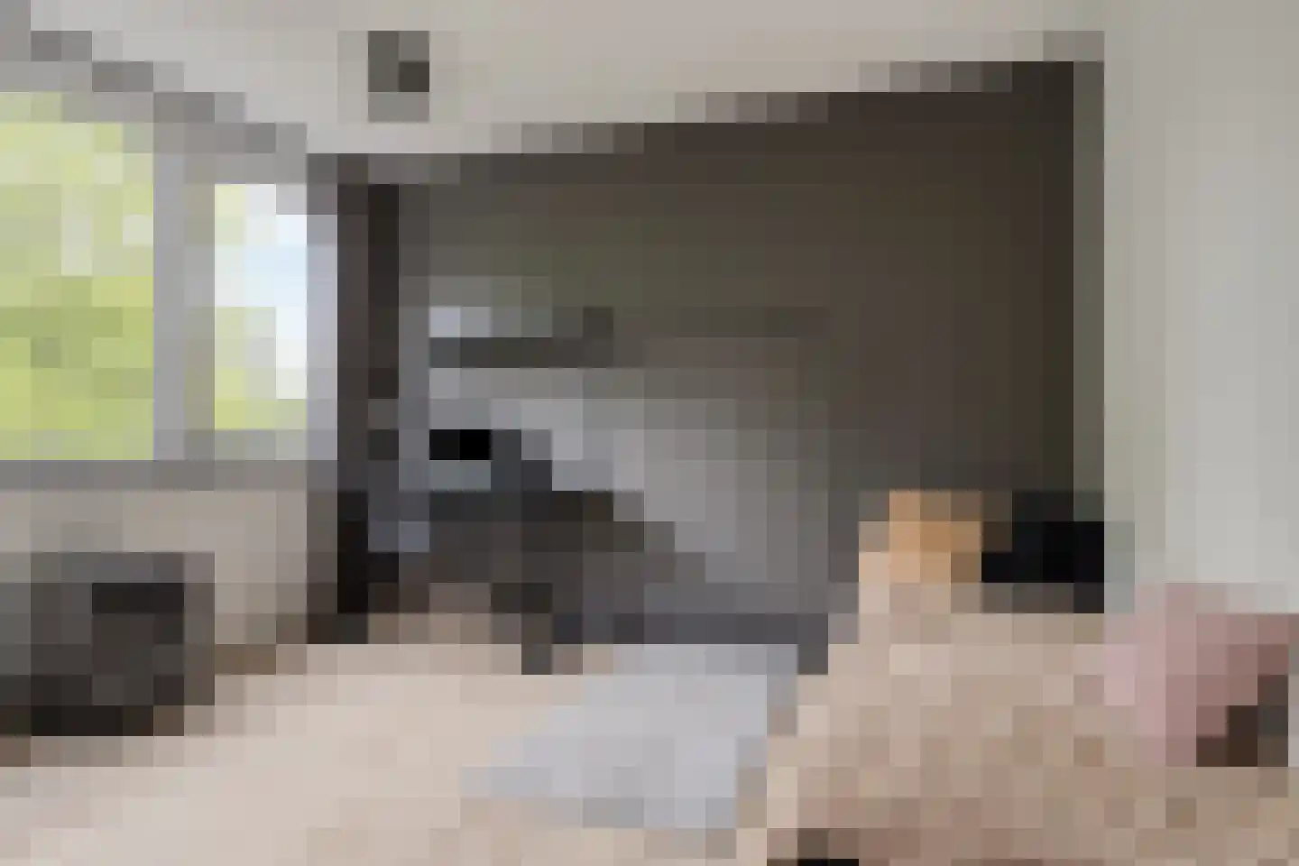 Haagbeemd 14 Eindhoven thumbnail 33