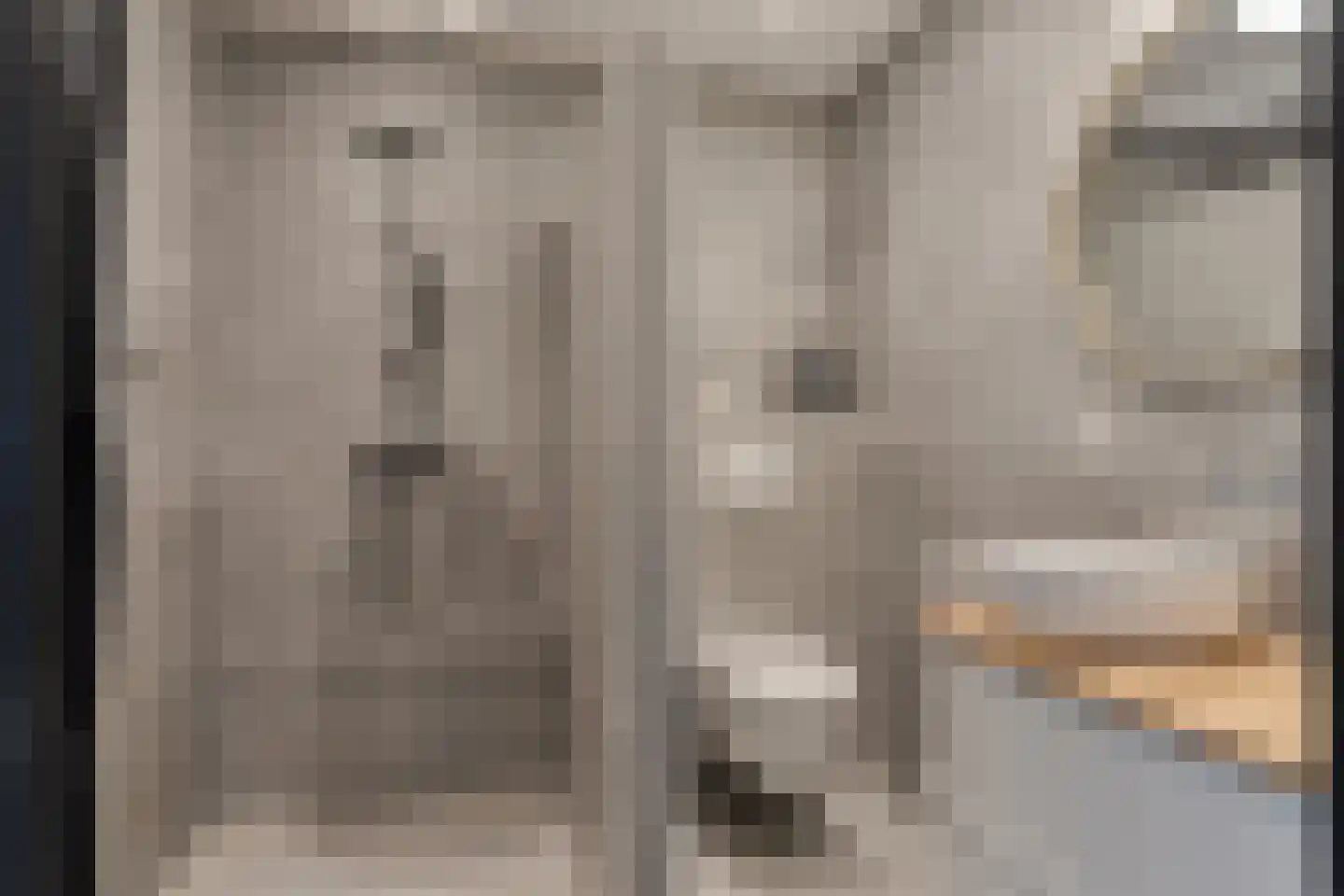 Haagbeemd 14 Eindhoven thumbnail 34