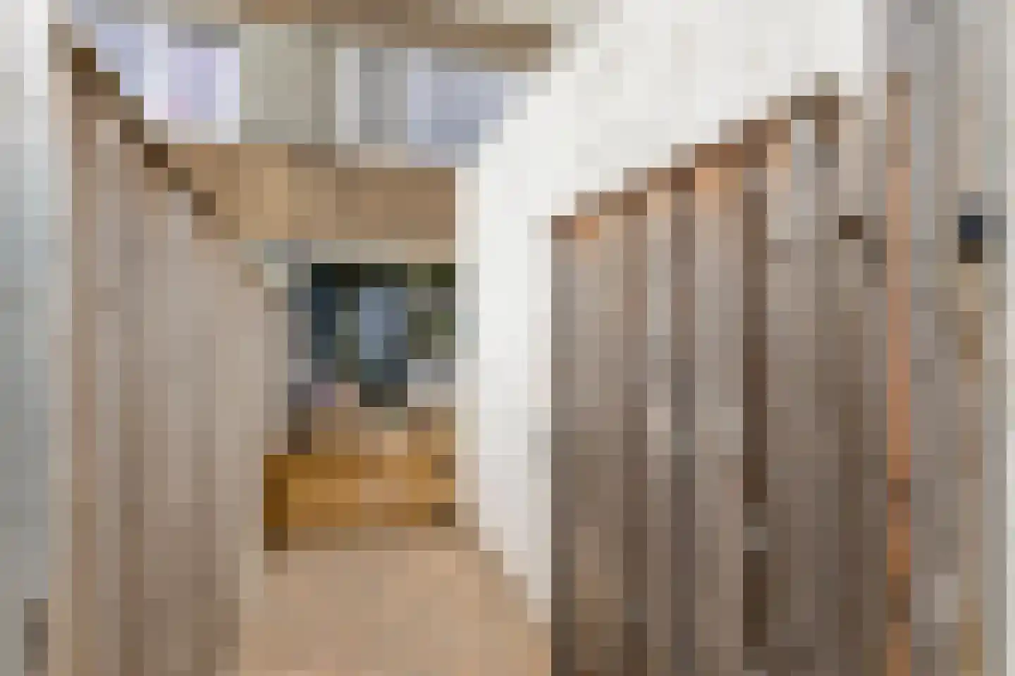 Haagbeemd 14 Eindhoven thumbnail 4