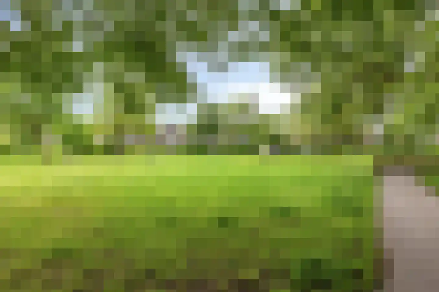Haagbeemd 14 Eindhoven thumbnail 42