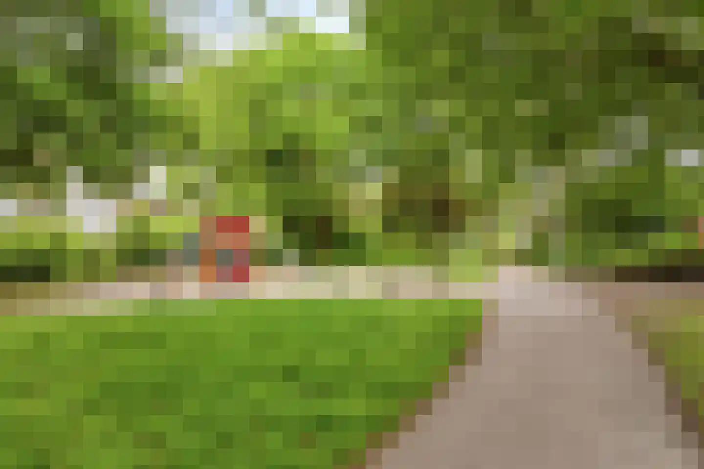 Haagbeemd 14 Eindhoven thumbnail 43