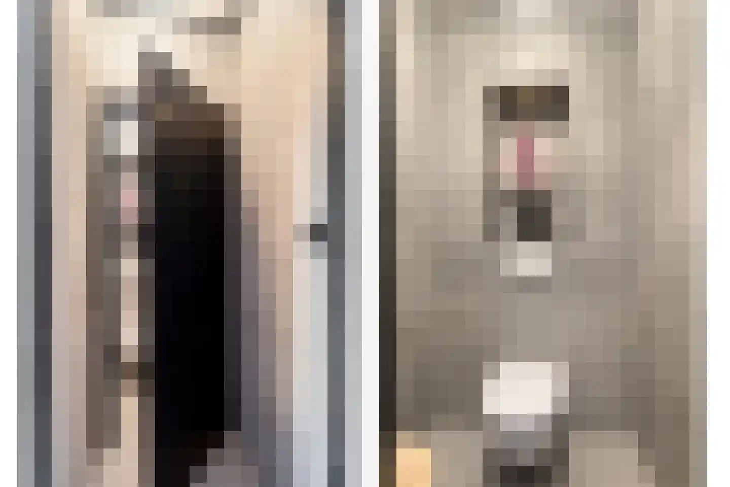 Haagbeemd 14 Eindhoven thumbnail 45