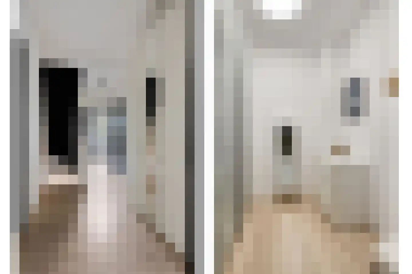Haagbeemd 14 Eindhoven thumbnail 47