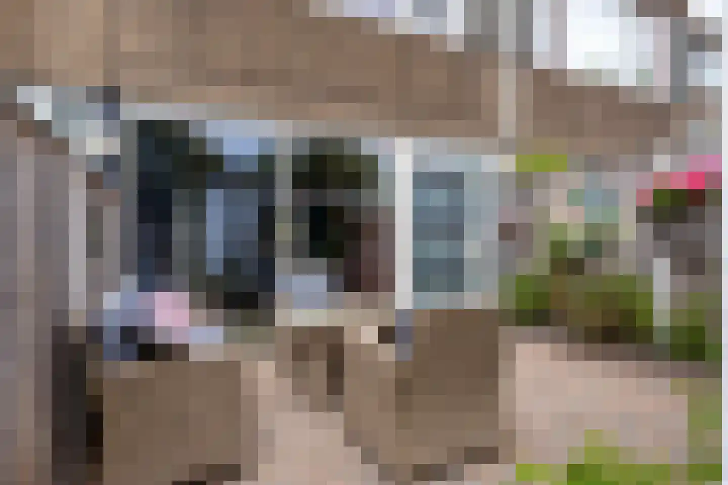 Haagbeemd 14 Eindhoven thumbnail 6
