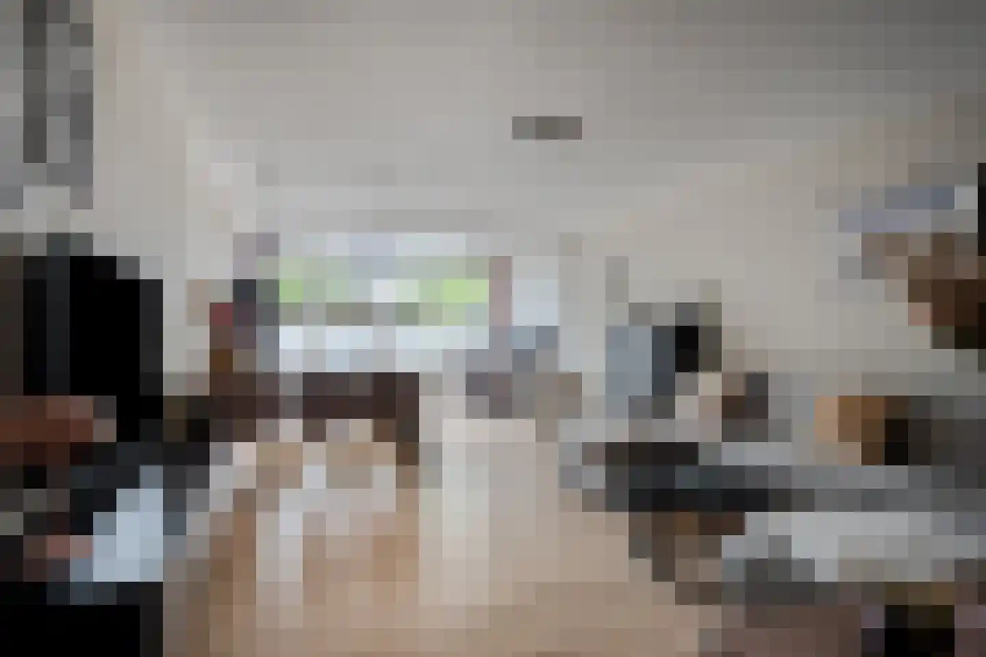 Haagbeemd 14 Eindhoven thumbnail 9