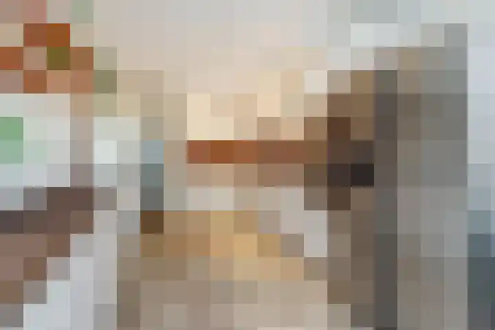 Haagbeemd 41 Eindhoven thumbnail 10
