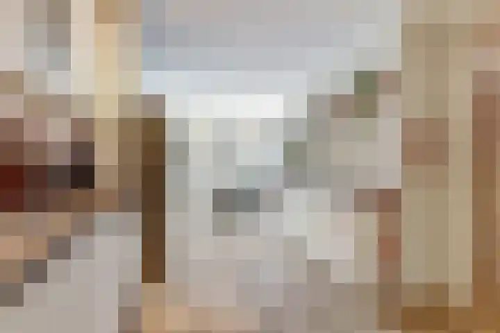 Haagbeemd 41 Eindhoven thumbnail 12