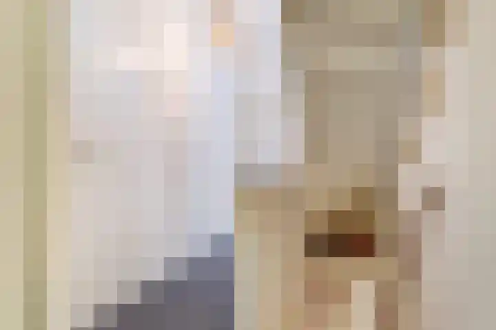 Haagbeemd 41 Eindhoven thumbnail 18