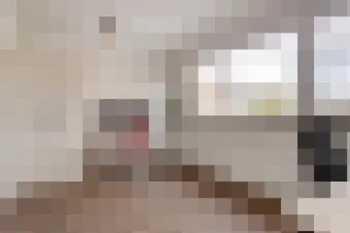 Haagbeemd 41 Eindhoven thumbnail 21