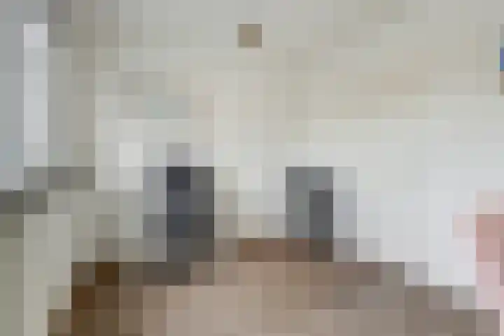 Haagbeemd 41 Eindhoven thumbnail 23