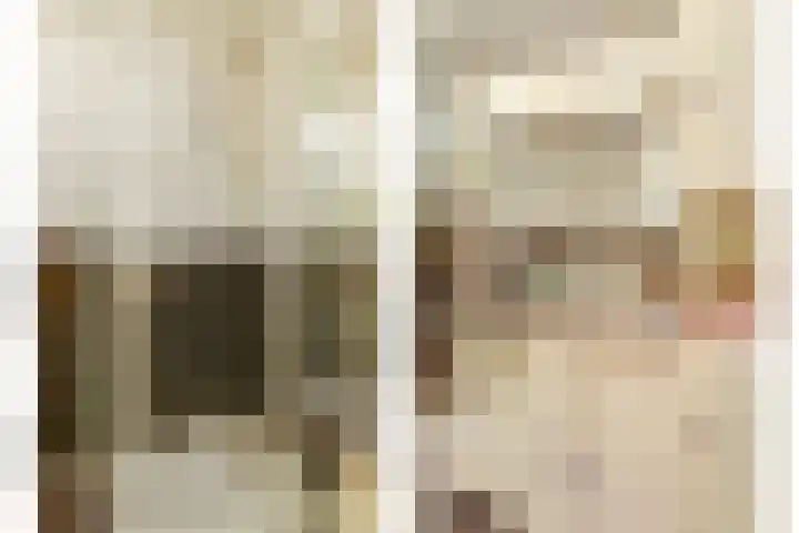 Haagbeemd 41 Eindhoven thumbnail 26