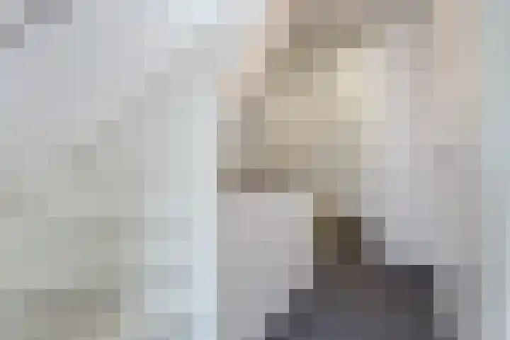 Haagbeemd 41 Eindhoven thumbnail 27