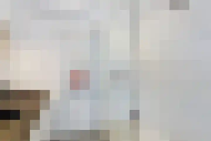 Haagbeemd 41 Eindhoven thumbnail 32