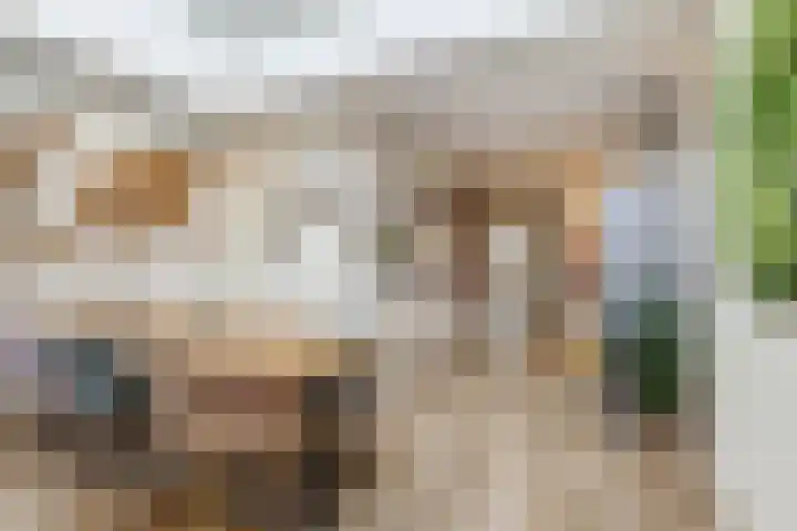 Haagbeemd 41 Eindhoven thumbnail 4