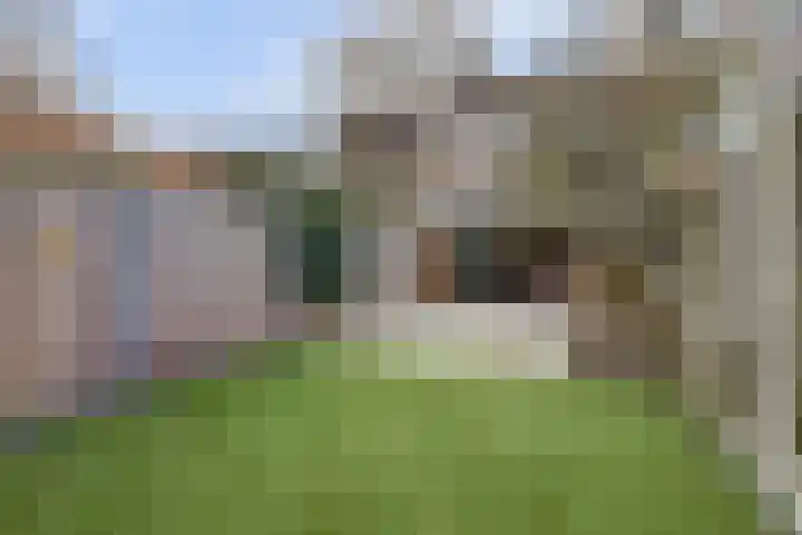 Haagbeemd 41 Eindhoven thumbnail 43