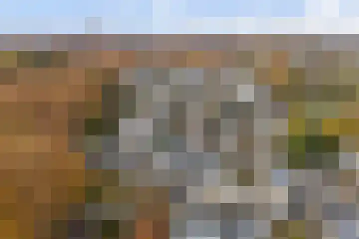 Haagbeemd 41 Eindhoven thumbnail 51