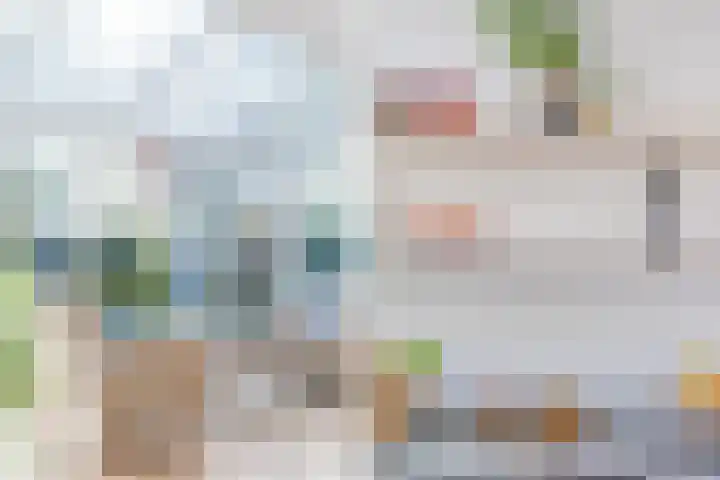 Haagbeemd 51 Eindhoven thumbnail 18