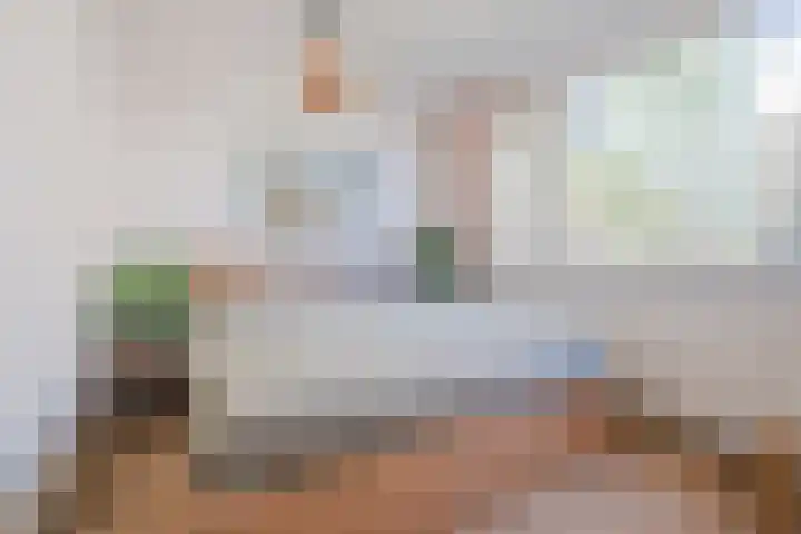 Haagbeemd 51 Eindhoven thumbnail 23