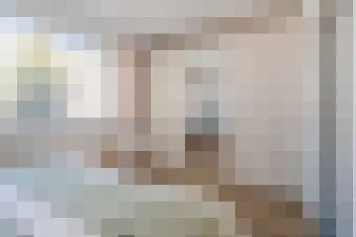 Haagbeemd 51 Eindhoven thumbnail 24