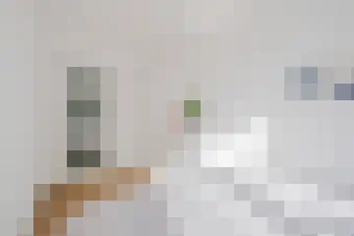 Haagbeemd 51 Eindhoven thumbnail 26