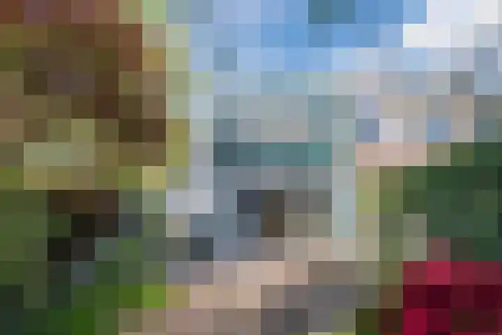 Haagbeemd 51 Eindhoven thumbnail 31