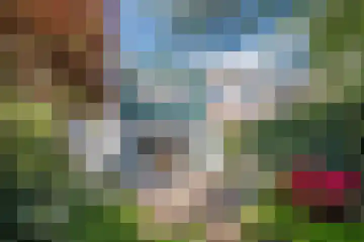 Haagbeemd 51 Eindhoven thumbnail 32