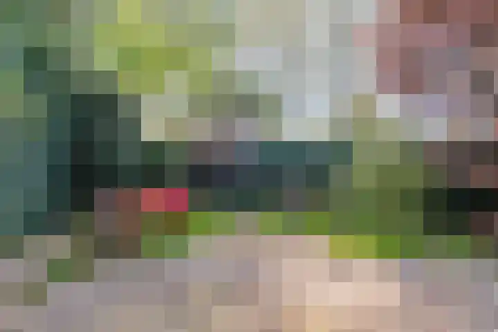 Haagbeemd 51 Eindhoven thumbnail 34