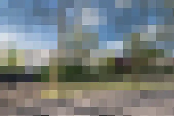 Haagbeemd 51 Eindhoven thumbnail 38