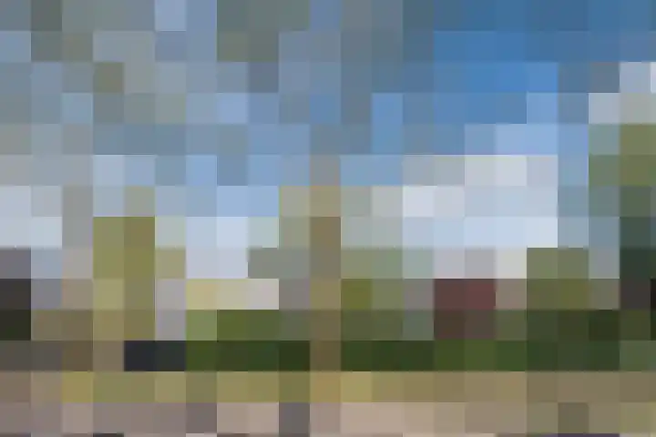 Haagbeemd 51 Eindhoven thumbnail 39
