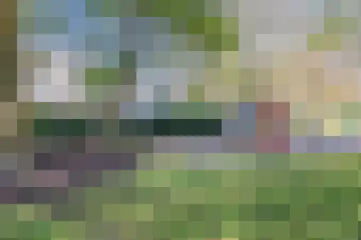 Haagbeemd 51 Eindhoven thumbnail 40