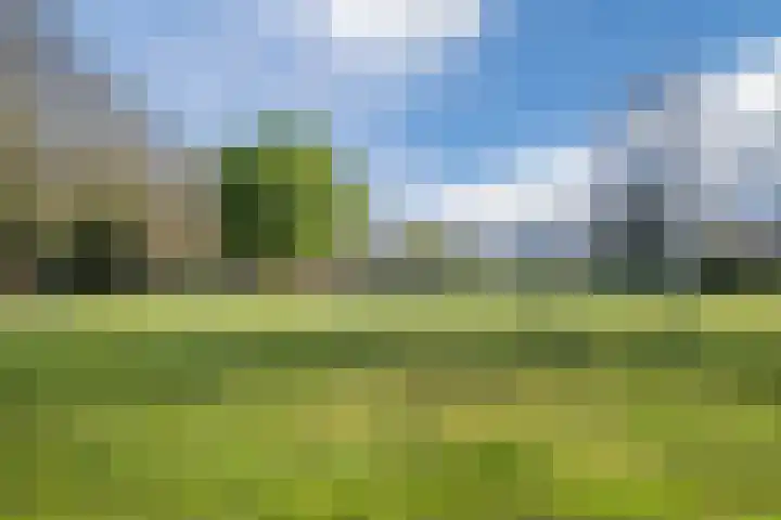 Haagbeemd 51 Eindhoven thumbnail 41