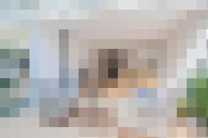 Haagbeemd 51 Eindhoven thumbnail 8