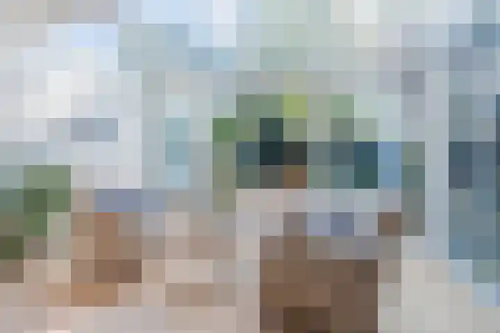 Haagbeemd 51 Eindhoven thumbnail 9