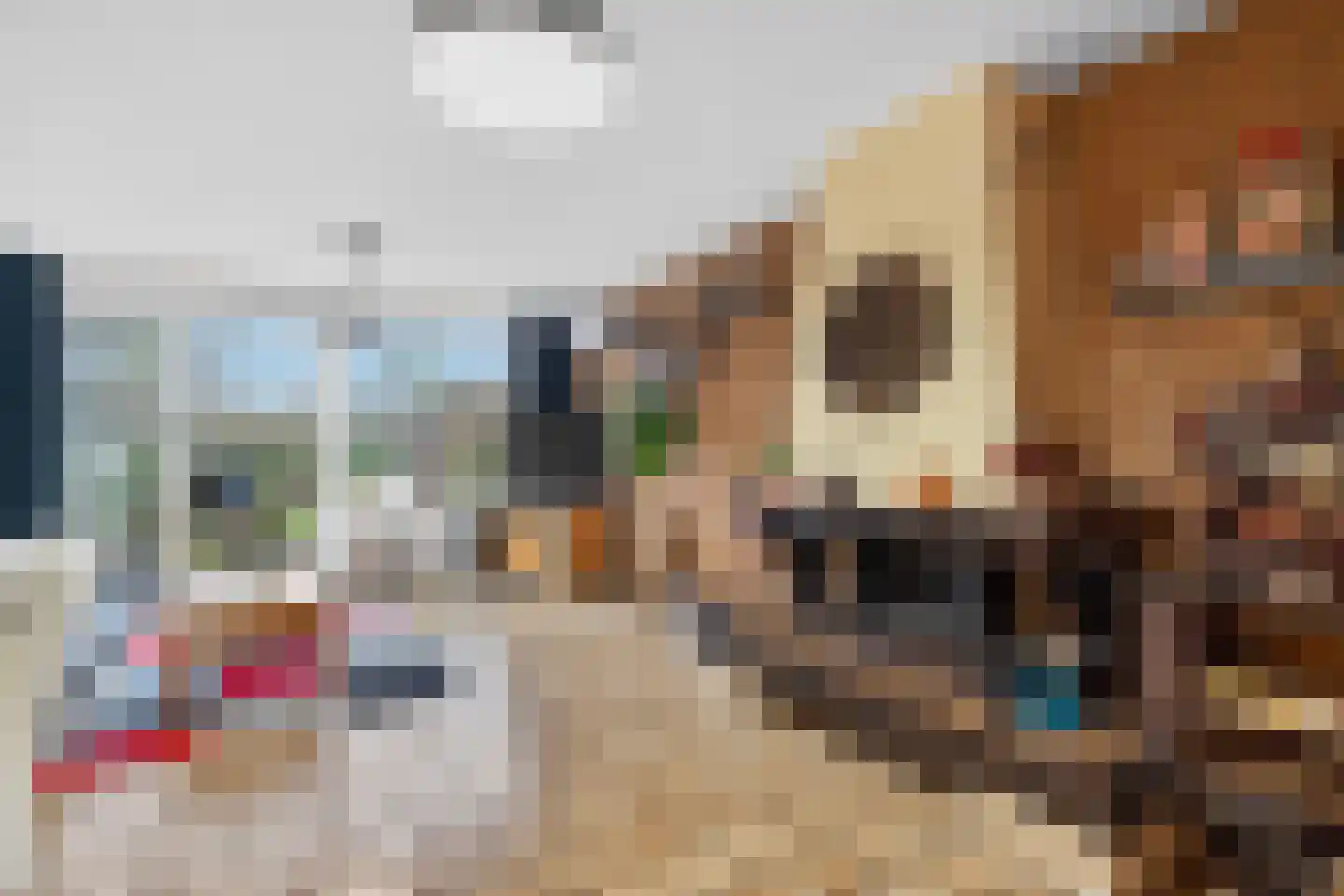 Haagbeemd 6 Eindhoven thumbnail 10