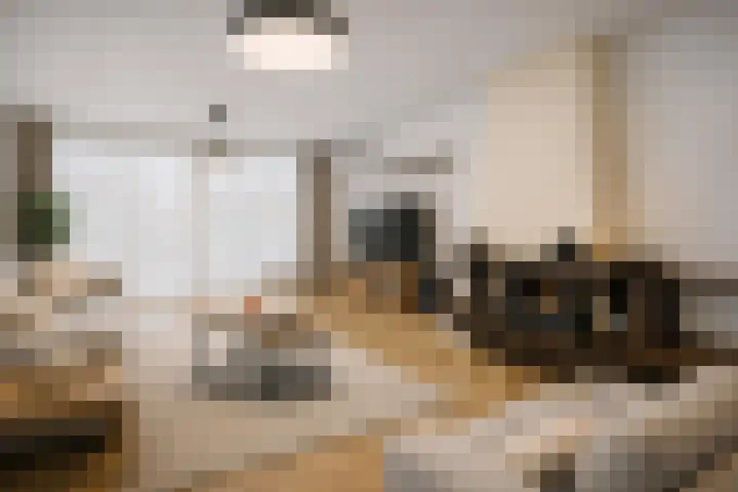 Haagbeemd 6 Eindhoven thumbnail 11