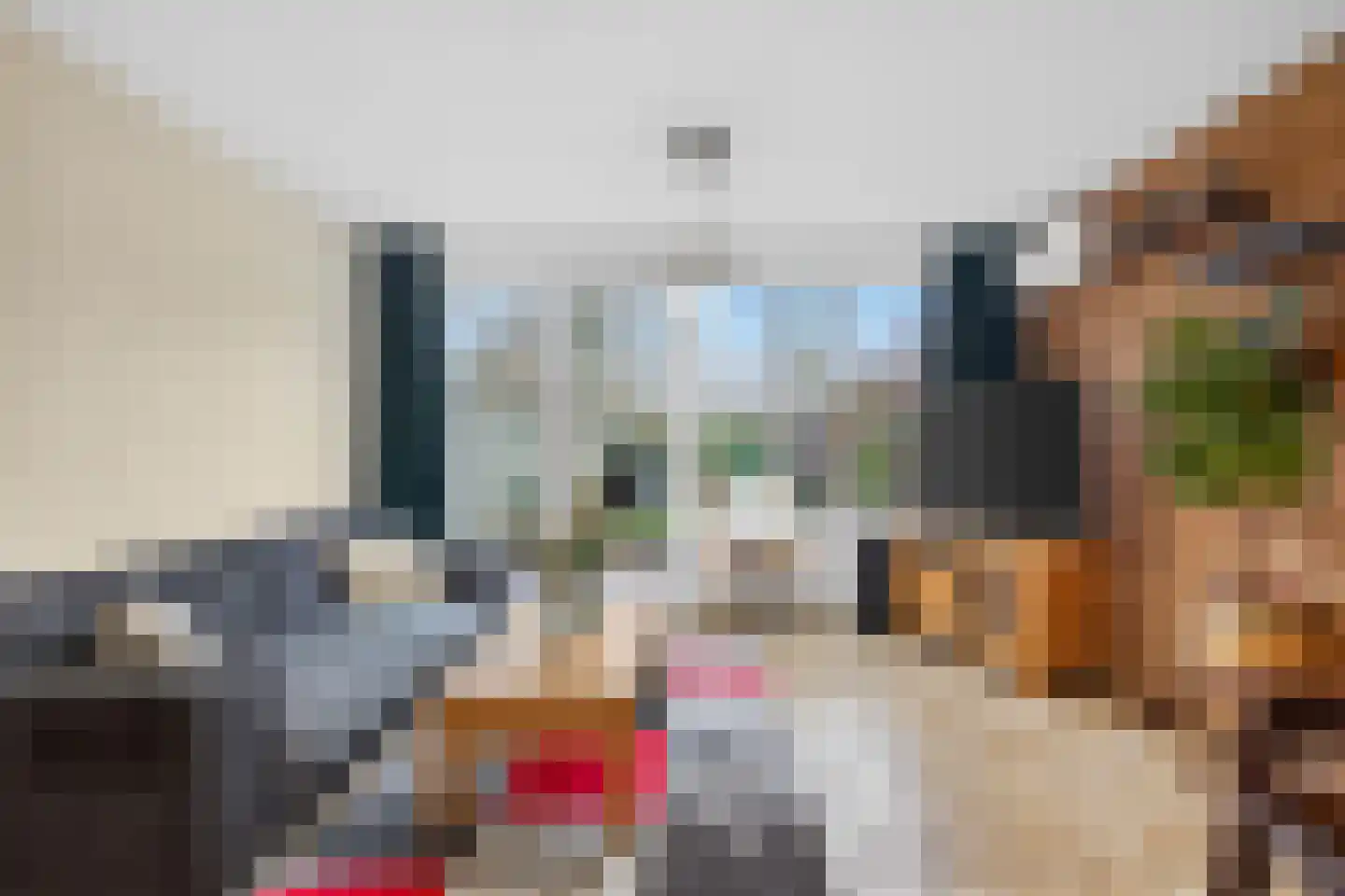 Haagbeemd 6 Eindhoven thumbnail 12