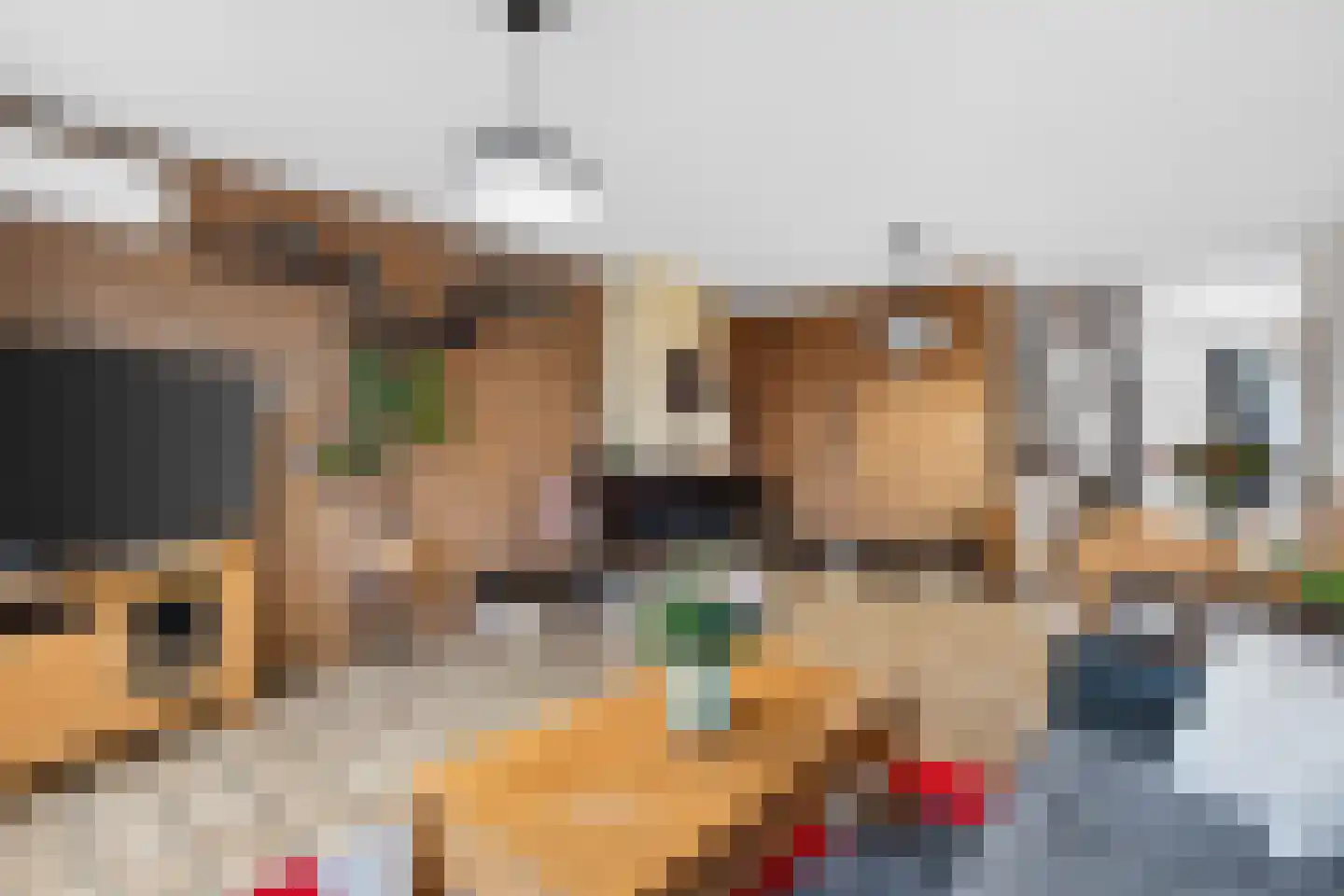 Haagbeemd 6 Eindhoven thumbnail 13