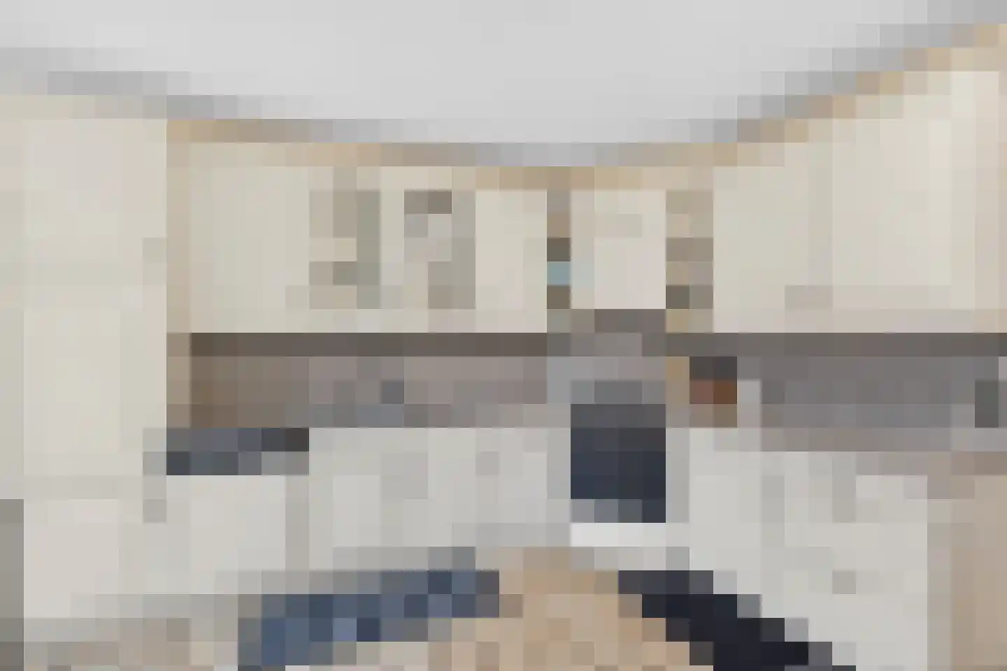 Haagbeemd 6 Eindhoven thumbnail 17