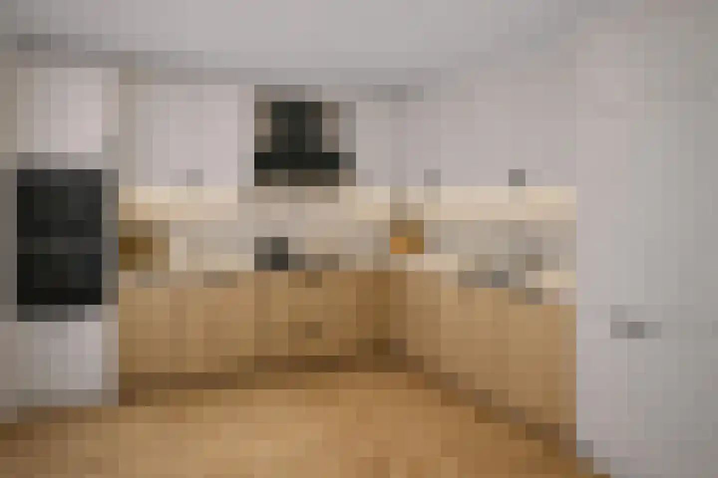 Haagbeemd 6 Eindhoven thumbnail 18