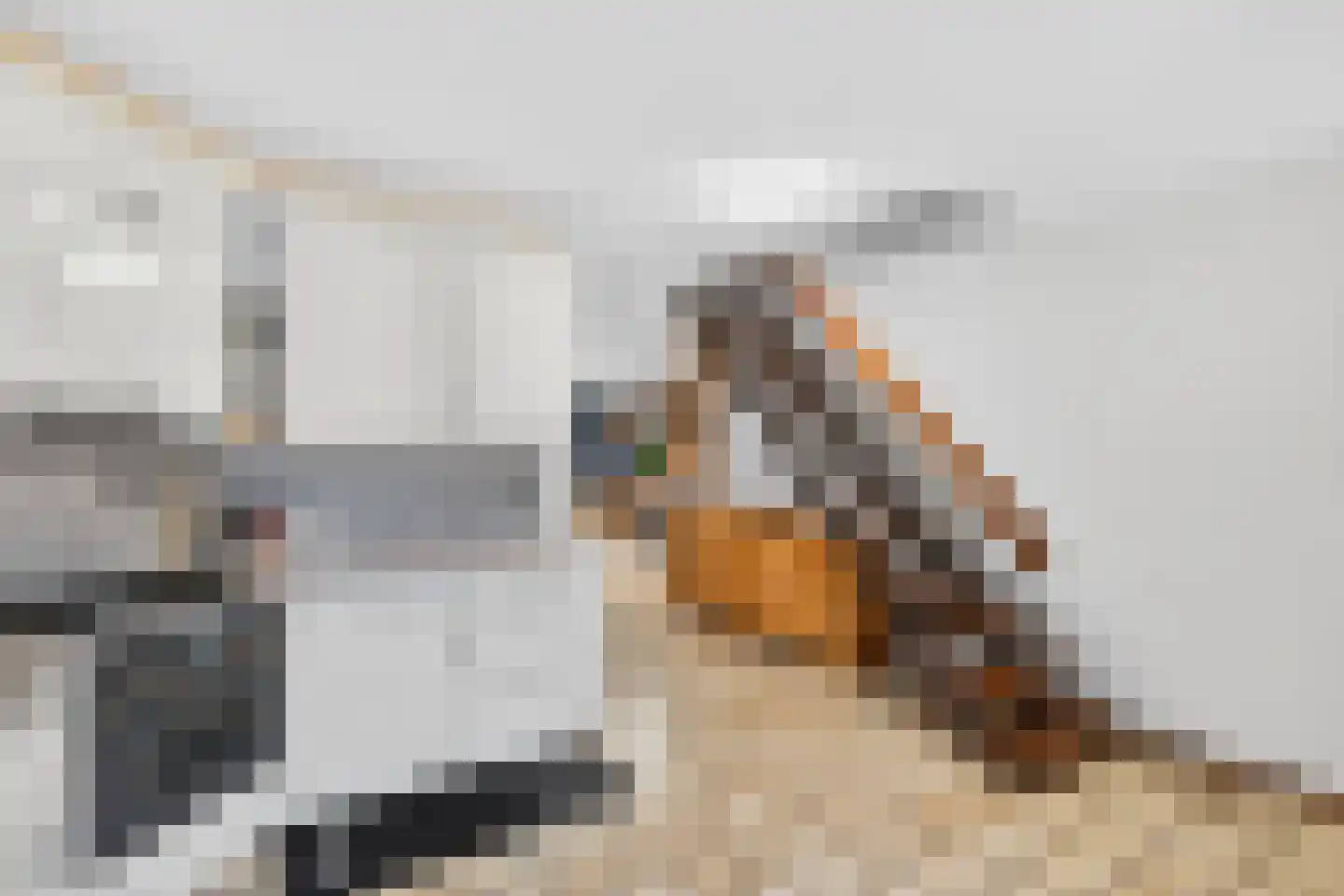 Haagbeemd 6 Eindhoven thumbnail 19