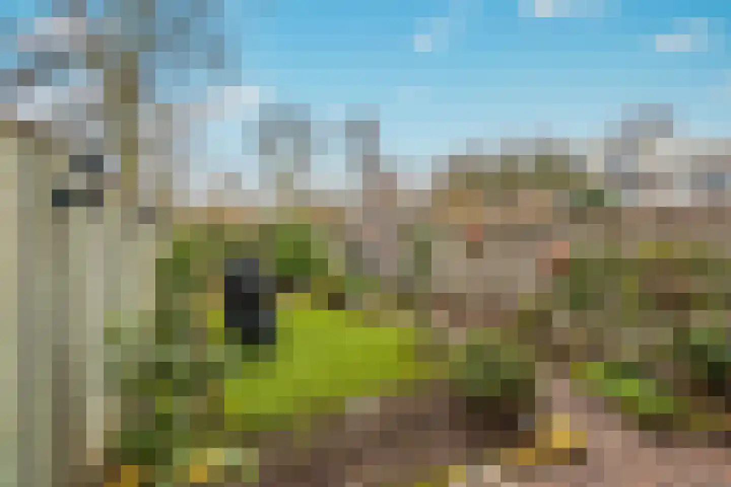 Haagbeemd 6 Eindhoven thumbnail 20