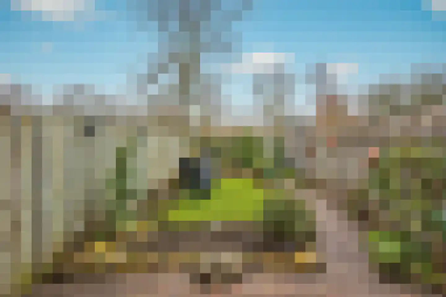 Haagbeemd 6 Eindhoven thumbnail 21