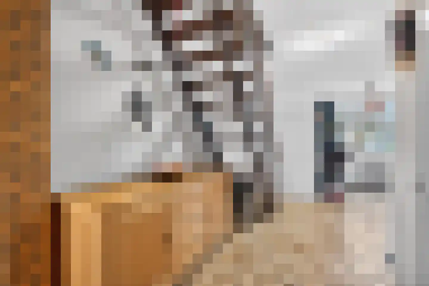 Haagbeemd 6 Eindhoven thumbnail 22